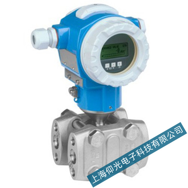 德國E+H差壓變送器PMD55故障專業維修中心