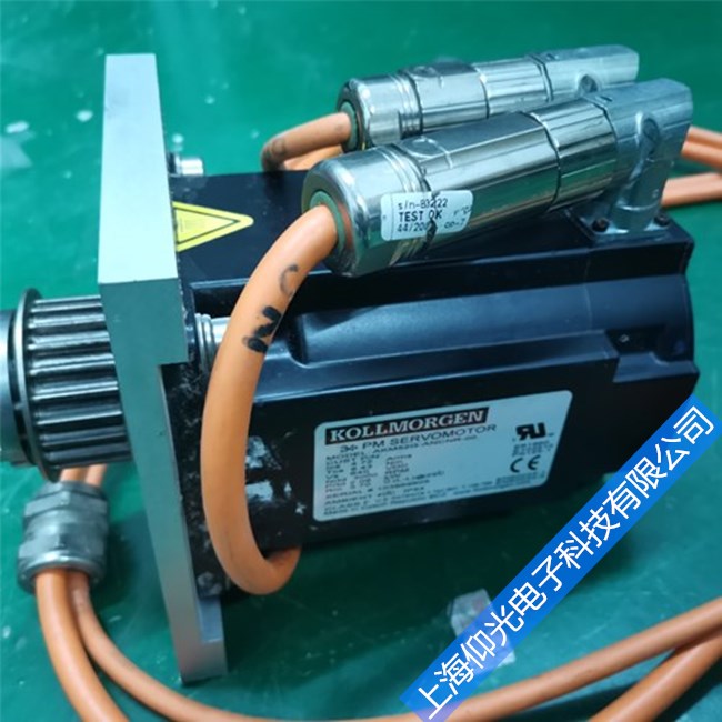 科爾摩根伺服電機軸承故障產生原因及處理
